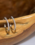 Qlassico diamond hoop earrings featuring natural diamonds set in 14K white gold.